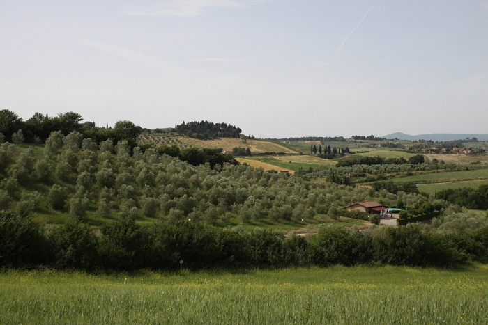 Toscane 09 - 083 - Paysages